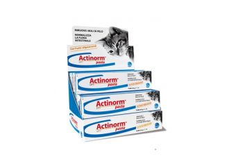 Actinorm pasta gatti 65g