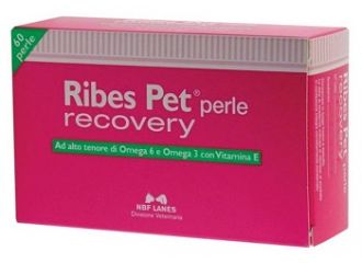 Ribes pet recovery blister 60 perle